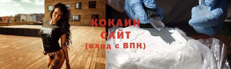 OMG tor  как найти наркотики  Сарапул  Cocaine Эквадор 