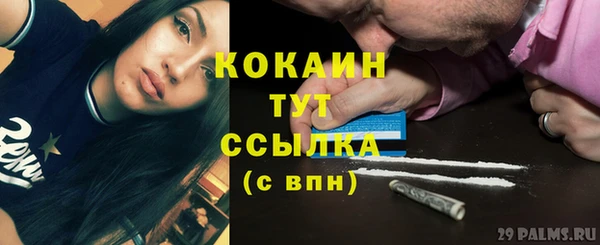 СК Куйбышев
