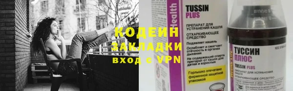 ешки Ладушкин