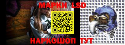 шишки Аргун