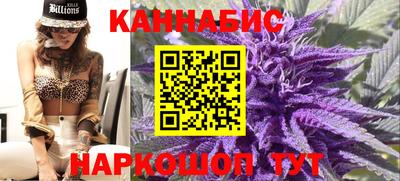 шишки Аргун