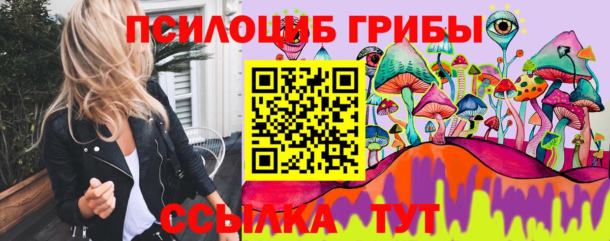 Псилоцибиновые грибы Psilocybe Сарапул