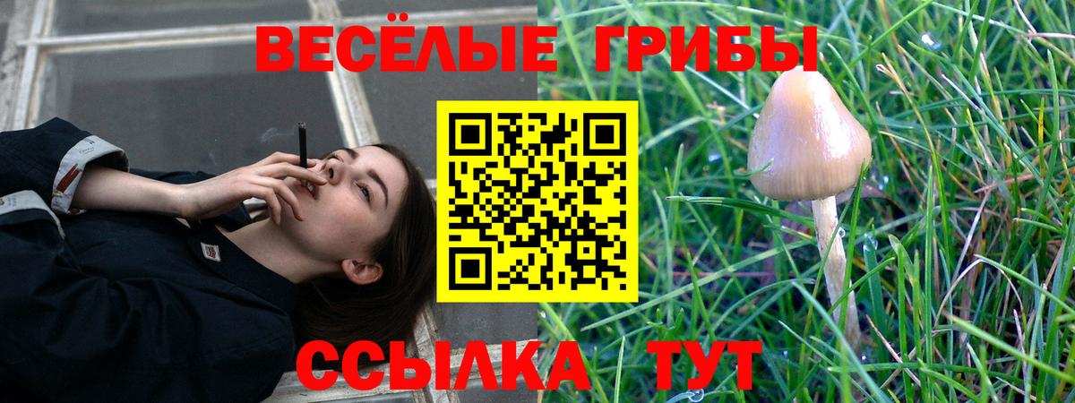 Галлюциногенные грибы Magic Shrooms  Сарапул 