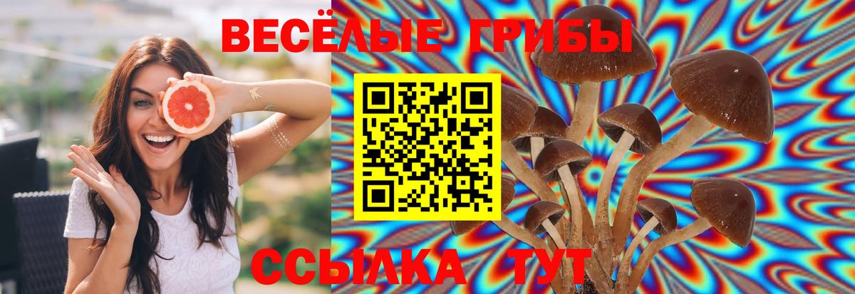 Галлюциногенные грибы мицелий  Вход с VPN  Сарапул  Галлюциногенные грибы Psilocybe 